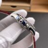 Rolex Daytona Ruby Meteorite Rolex Daytona Ruby Meteorite