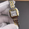 Cartier Panthere Two-Tone 22x30mm
