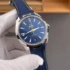 Omega Seamaster 41mm