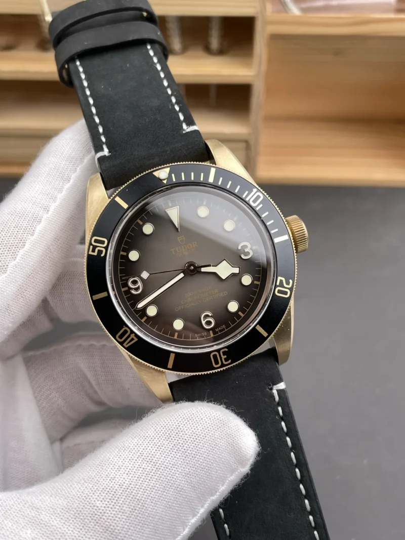 Tudor Black Bay M79250 BM 43mm