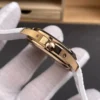 Patek Philippe Aquanaut Rose Gold 39.9mm