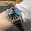 IWC Mark Titanium 40mm