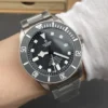 Tudor Pelagos Titanium 42mm